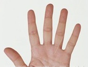 five-fingers_~OS02081