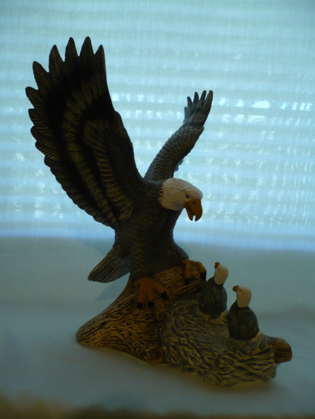 Eagle & eaglets.JPG