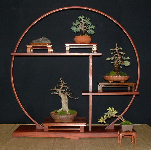 Bonsai in the stand Display