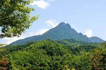 China's First Rainforest Park