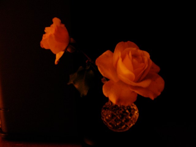 SANYO DIGITAL CAMERA